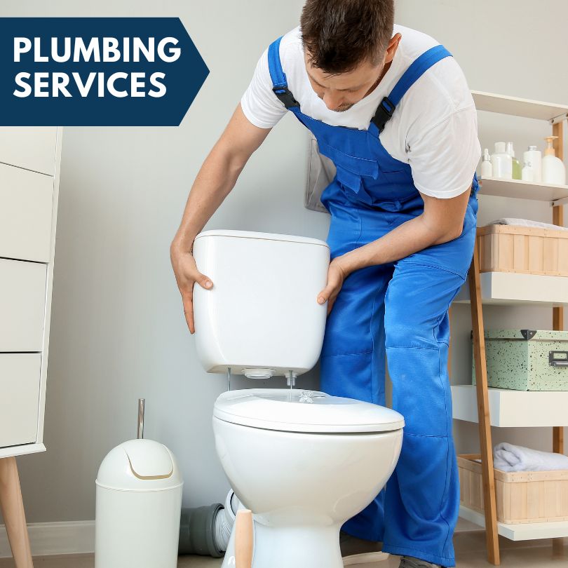 Plumbing Company in Fort Myers Beach, FL